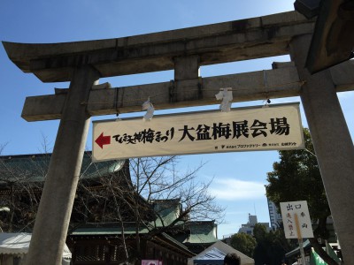 大阪天満宮　てんま天神梅まつり 盆梅 梅酒