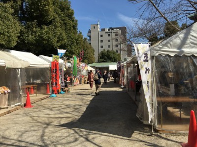 大阪天満宮　てんま天神梅まつり 盆梅 梅酒