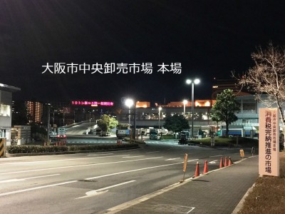 中之島漁港　大阪市中央卸売市場本場