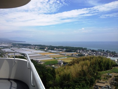 高知 安芸 土佐ロイヤルホテル 温泉 ブログ 宿泊記 感想 ゴルフ ゴルファーの泊まる宿 阪神タイガースキャンプ 露天風呂 予約 安芸キャンプ 客室 洋室ツインルーム バルコニー