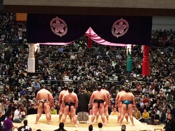 大相撲 春場所 三月場所 大阪場所 会場 当日券 座席表 取組 結果 星取表