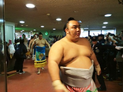 大相撲 春場所 三月場所 大阪場所 会場 当日券 座席表 取組 結果 星取表