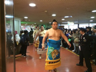 大相撲 春場所 三月場所 大阪場所 会場 当日券 座席表 取組 結果 星取表