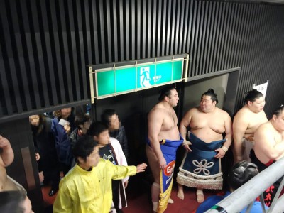 大相撲 春場所 三月場所 大阪場所 会場 当日券 座席表 取組 結果 星取表