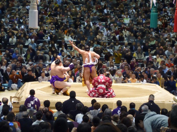 大相撲 春場所 三月場所 大阪場所 会場 当日券 座席表 取組 結果 星取表 横綱土俵入 日馬富士 写真