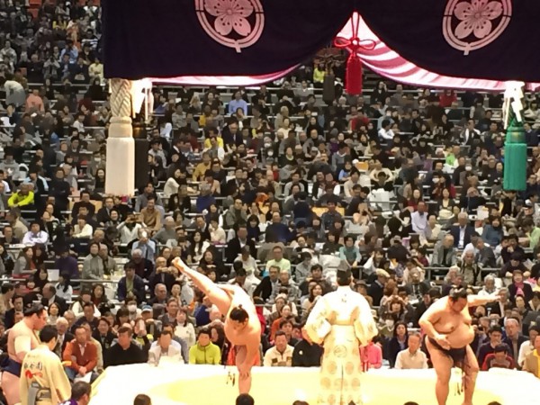 大相撲 春場所 三月場所 大阪場所 会場 当日券 座席表 取組 結果 星取表