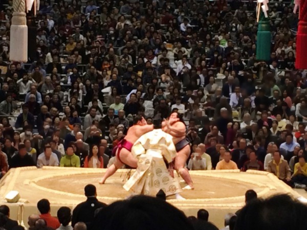 大相撲 春場所 三月場所 大阪場所 会場 当日券 座席表 取組 結果 星取表