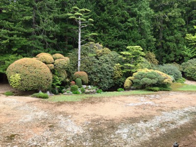 高野山 金剛峰寺