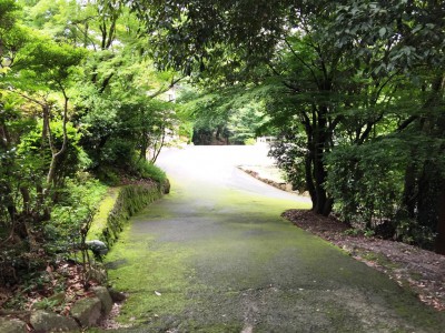 近江神宮 ちはやふる かるた 舞台 ロケ 勧学館