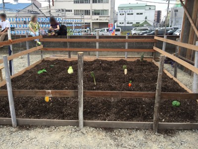 水都大阪 中之島GATE 中之島ゲート 中之島漁港 バーベキュー 盆踊り 祭 BEGINビギン 謎解きゲーム 行き方 屋台 イベント 駐車場