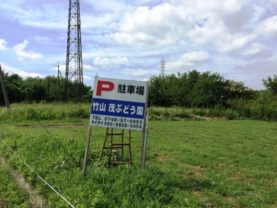 道の駅アグリパーク竜王 入園料 バーベキュー 味覚狩り 梨狩り ぶどう狩り 直売 値段 安い 口コミ アクセス 料金 割引 クーポン フルーツ狩り 関西 滋賀 農園 駐車場