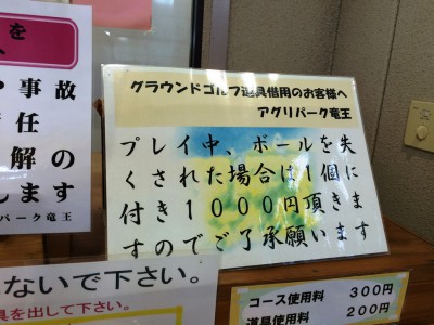 道の駅アグリパーク竜王 入園料 バーベキュー 味覚狩り 梨狩り ぶどう狩り 直売 値段 安い 口コミ アクセス 料金 割引 クーポン フルーツ狩り 関西 滋賀 グラウンドゴルフ