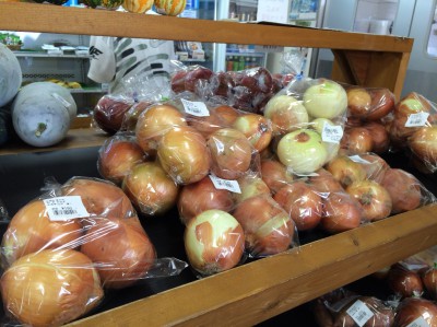 道の駅アグリパーク竜王 入園料 バーベキュー 味覚狩り 値段 安い 口コミ アクセス 料金 関西 滋賀 産地直売 新鮮野菜 採れたて果実