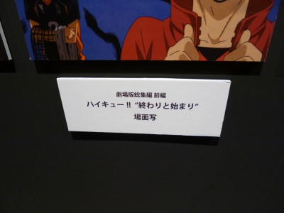 ハイキュー 大阪遠征合宿 ひらかたパーク バレーボール アニメ 感想 ネタバレ 混雑 行列 待ち時間 アクセス 駐車場 入場料 限定グッズ キャラくじ 写真撮影