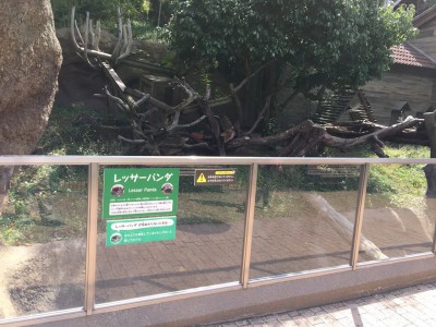 ひらかたパーク ひらぱー おまライド 岡田園長 ひらぱー兄さん おまライド 混雑 行列 チケット 割引 安い 入場料 お得 駐車場 アクセス イベント 動物ワンダーガーデン