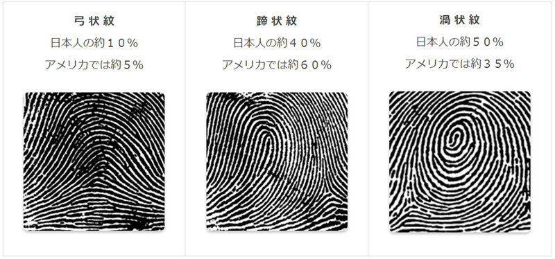 日本の指紋の分類