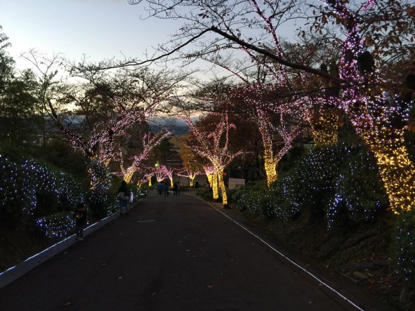 ひらかたパーク ひらパー イルミネーション 光の遊園地 お得なチケット 料金 点灯時間 ナイトフリーパス ナイト入園 エリア アトラクション 割引 混雑 感想 写真