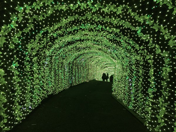 ひらかたパーク ひらパー イルミネーション2015 光の遊園地 お得なチケット 料金 点灯時間 割引 混雑 感想 写真 ナイトフリーパス ナイト入園 エリア アトラクション 光る園長像