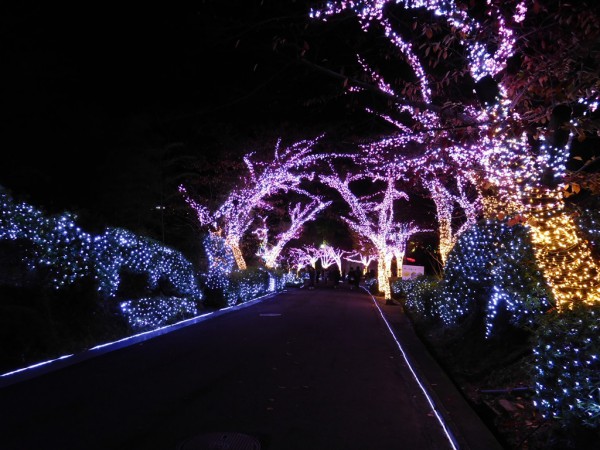 ひらかたパーク ひらパー イルミネーション2015 光の遊園地 お得なチケット 料金 点灯時間 割引 混雑 感想 写真 ナイトフリーパス ナイト入園 エリア アトラクション 光る園長像