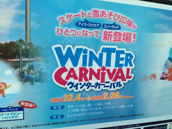 ひらかたパーク ひらパー イルミネーション2015 光の遊園地 お得なチケット 料金 点灯時間 割引 混雑 感想 写真 ナイトフリーパス ナイト入園 エリア アイススケート