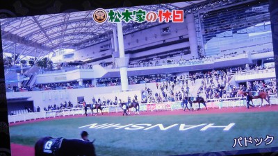 松本家の休日 松ちゃん 宮迫 たむけん さだ子 動画 阪神競馬場 競艇 一攫千金 シャンプーハット てつじ こいで 小藪 パドック