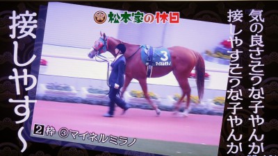 松本家の休日 松ちゃん 宮迫 たむけん さだ子 動画 阪神競馬場 競艇 一攫千金 シャンプーハット てつじ こいで 小藪