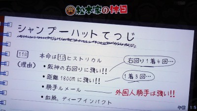 松本家の休日 松ちゃん 宮迫 たむけん さだ子 動画 阪神競馬場 競艇 一攫千金 シャンプーハット てつじ こいで 小藪 予想