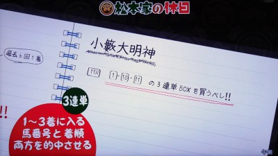 松本家の休日 松ちゃん 宮迫 たむけん さだ子 動画 阪神競馬場 競艇 一攫千金 シャンプーハット てつじ こいで 小藪 予想 ロケ