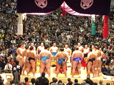 大相撲 大阪場所 三月場所 大阪府立体育館　2016年 宿舎一覧 朝稽古見学 春場所 琴奨菊 白鵬 相撲部屋 関取 練習 合宿場所 宿泊