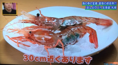 今ちゃんの実は グルメ シャンプーハット タクシー こいで てつじ 運転手 北海道 札幌 海の幸 蟹 バフンウニ 牡丹海老