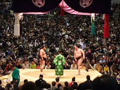 大相撲名古屋場所 七月場所 愛知県体育館 宿舎 相撲部屋 ホテル 練習 朝稽古見学 相撲観戦 チケット 桝席