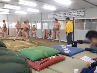 大相撲 大阪場所 三月場所 春場所 朝稽古見学 貴乃花部屋 龍神総宮社 宇治 貴ノ岩 常盤山親方 ご朱印