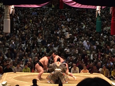 大相撲 春巡業 2016年 平成28年 スケジュール 日程 会場 チケット 入場料