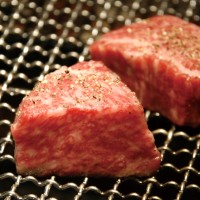 ステーキハウス ロマン亭 ステーキバル 新なにわ大食堂 熟成肉 大阪市営地下鉄御堂筋線 新大阪駅構内 北改札口 飲食店 メニュー 混雑 テイクアウト 新店 アクセス 場所