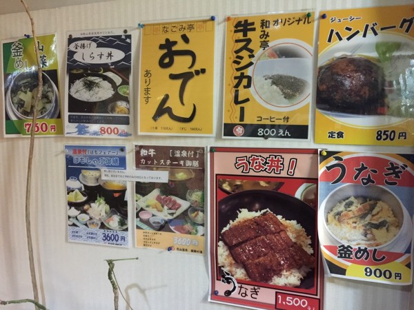 花山温泉 薬師の湯 和歌山 冷たい温泉 ぬるい 炭酸泉 源泉かけ流し 濃厚 食事 メニュー 日帰り入浴 交通アクセス 駐車場 テレビで紹介 ウラマヨ 泉質 効能