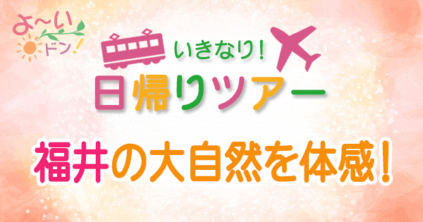 よーいドン いきなり日帰りツアー 福井