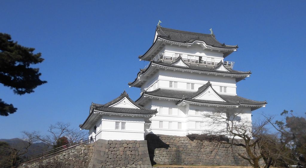 【よ～いドン！】いきなり！日帰りツアー「神奈川・小田原」豪華海鮮グルメを満喫