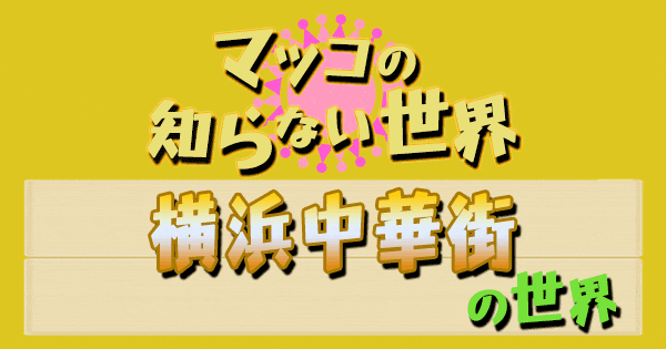 マツコの知らない世界 横浜中華街