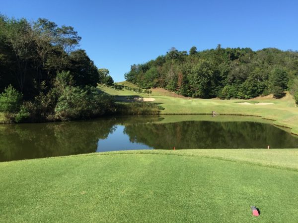 133番池越えショートホール・レディースティ