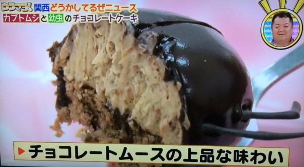【TVで紹介】カブトムシと幼虫のチョコレートケーキ!? 【姫路・洋菓子工房バースディ】