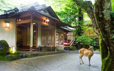 奈良春日奥山 月日亭