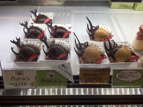 ウラマヨ　姫路バースディ 洋菓子店　カブトムシケーキ チョコレートケーキ ハイブリットスイーツ ヘラクレスオオカブト オプション 幼虫