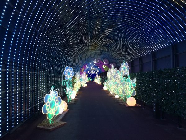 ネスタリゾート神戸 NESTA RESORT KOBE 兵庫 三木 イルミネーション ネスタイルミナ 光の散歩道 入場料 行ってきました ブログ フローラルアーケード 光のトンネル フルカラーLED
