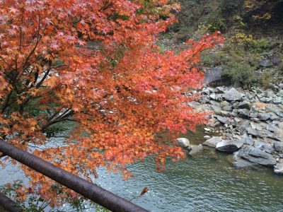 武田尾温泉 廃線ハイキング JR福知山線 旧国鉄 あざれ 元湯 足湯 紅葉 武庫川 改修工事 線路 桜