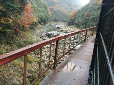 武田尾温泉 廃線ハイキング JR福知山線 旧国鉄 あざれ 元湯 足湯 紅葉 武庫川 改修工事 線路 桜 鉄橋