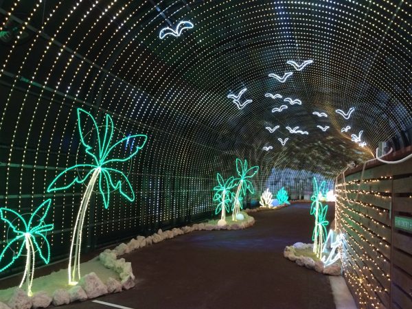 ネスタリゾート神戸 NESTA RESORT KOBE 兵庫 三木 イルミネーション ネスタイルミナ 光の散歩道 入場料 行ってきました ブログ フローラルアーケード 光のトンネル フルカラーLED