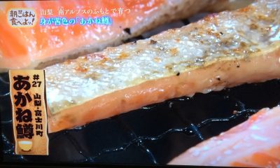 あかね鱒 ハラハラあかね 忍沢養殖場 南アルプス ちちんぷいぷい MBS グルメ 人気 行列 お取り寄せ 朝ごはん食べよッ！ ご飯のおとも 注文方法 電話番号 購入方法