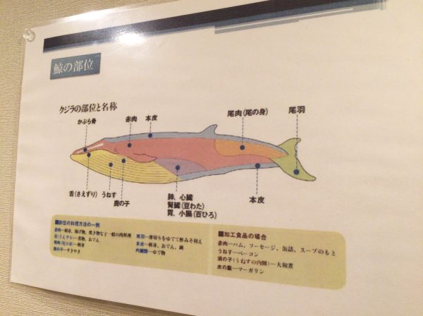 クジラ焼肉専門店 くじらや 鯨が食べられるお店 くじらのモツ鍋 ハリハリ鍋 ユッケ 刺身 十三しょんべん横丁 火災 営業再開 オープン 阪急十三駅西口 おはよう朝日 テレビで紹介 メニュー 料金 大阪初 全国初 珍しい