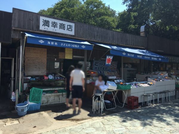 満幸商店 しらす丼 ボリューム満点 おためしコース 初心者コース わさびスープ 安い 持ち帰り 和歌山県 加太温泉 淡嶋神社 人形供養 交通アクセス 駐車場 送迎 最寄駅