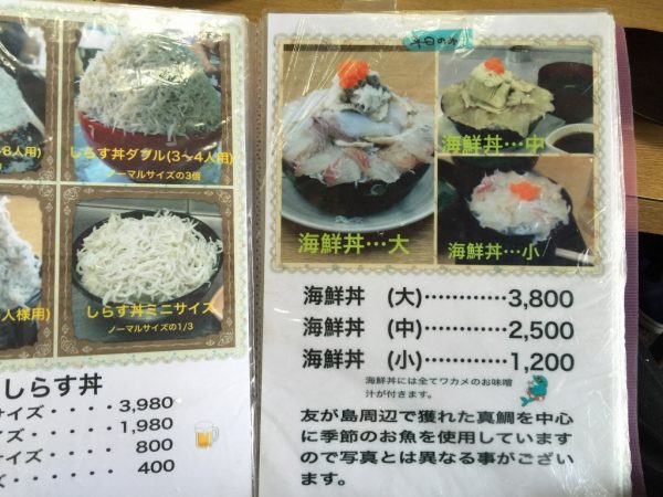 満幸商店 しらす丼 ボリューム満点 おためしコース 初心者コース わさびスープ 安い 持ち帰り 和歌山県 加太温泉 淡嶋神社 人形供養 交通アクセス 駐車場 送迎 最寄駅 海鮮丼